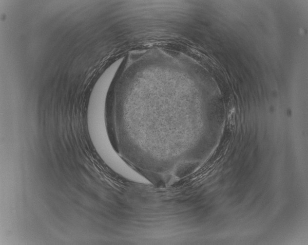 X0000071850772200607141749