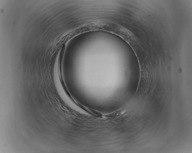 X0000071850773200607141749