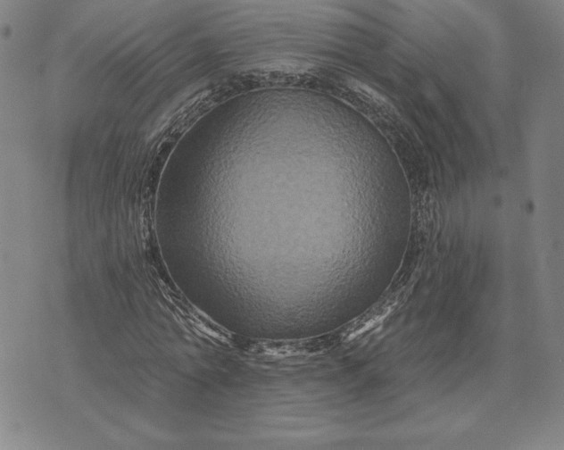 X0000071850774200607141749