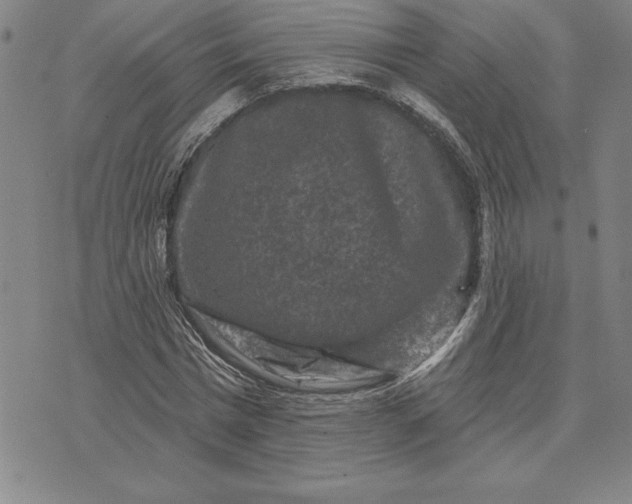 X0000071850777200607141749