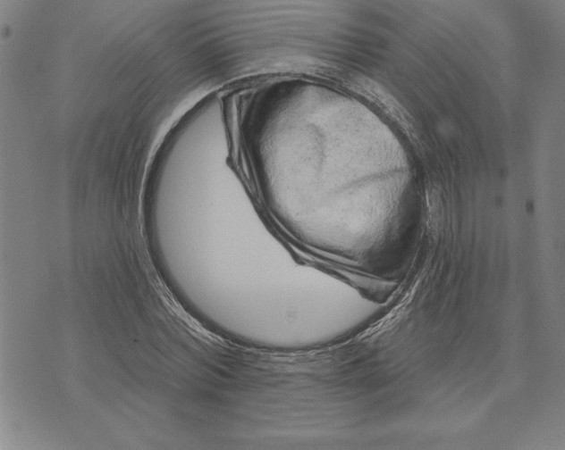 X0000071850780200607141749