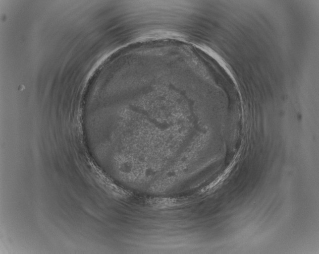 X0000071850783200607141749