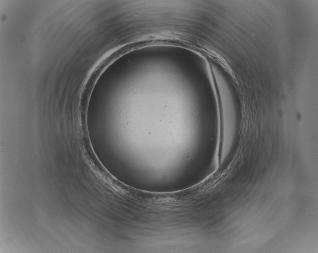 X0000071850784200607141749