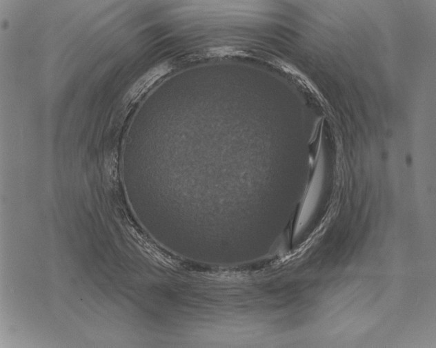 X0000071850785200607141749