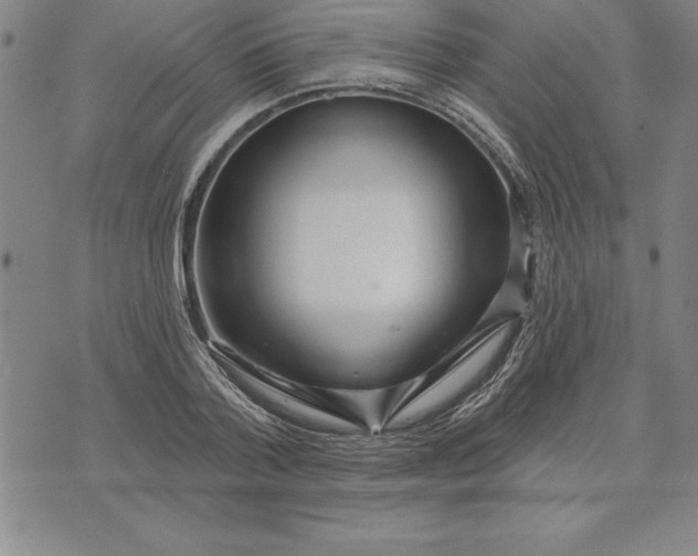 X0000071850788200607141749