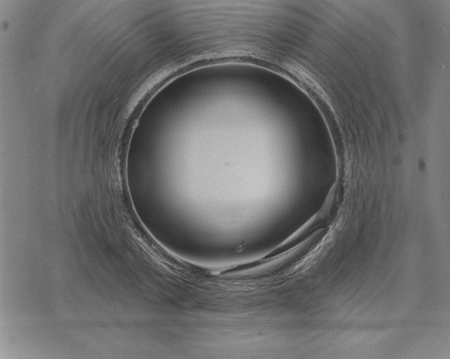 X0000071850789200607141749