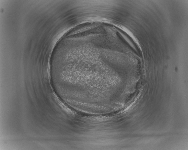 X0000071850791200607141749