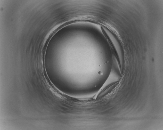 X0000071850792200607141749