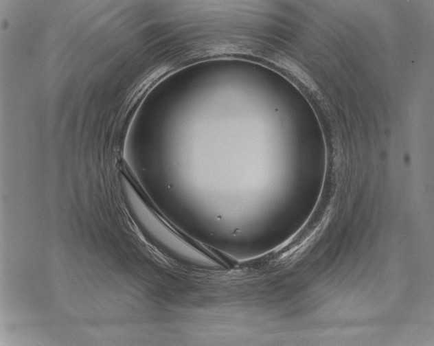 X0000071850793200607141749