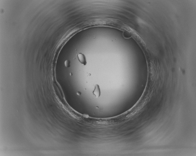 X0000071850794200607141749