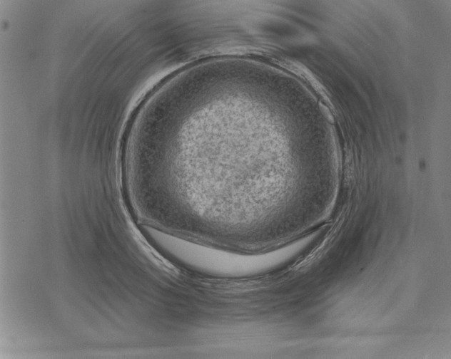 X0000071850795200607141749