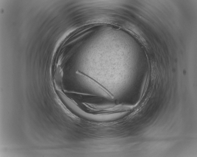 X0000071850796200607141749