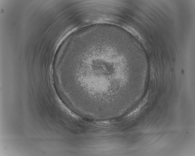 X0000071850798200607141749