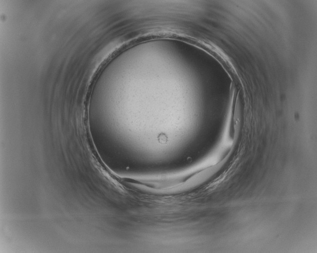 X0000071850799200607141749