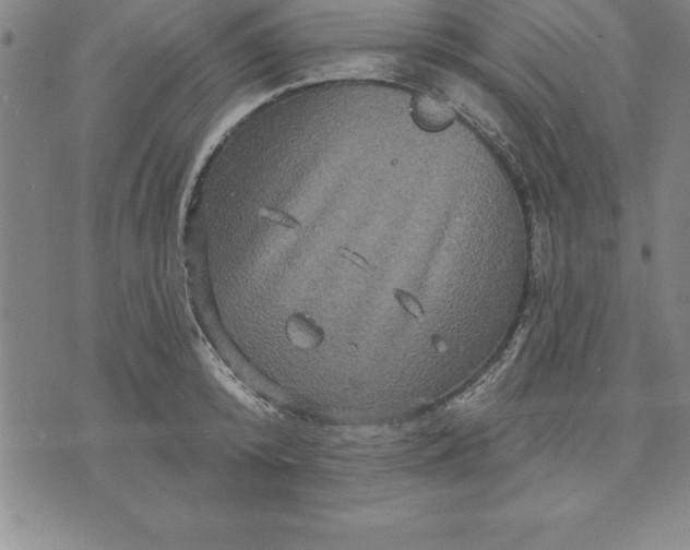 X0000071850800200607141749