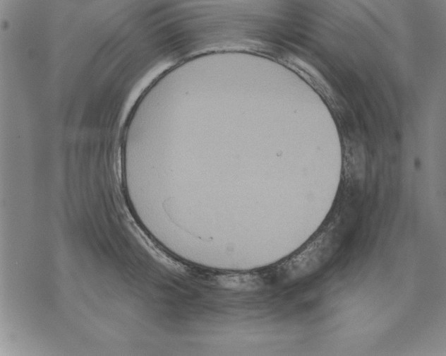 X0000071850804200607141749