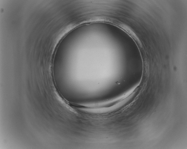 X0000071850805200607141749