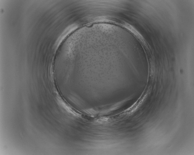 X0000071850806200607141749