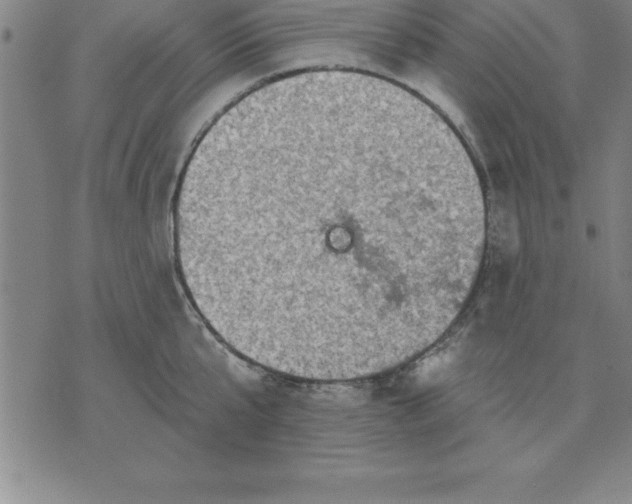 X0000071850807200607141749