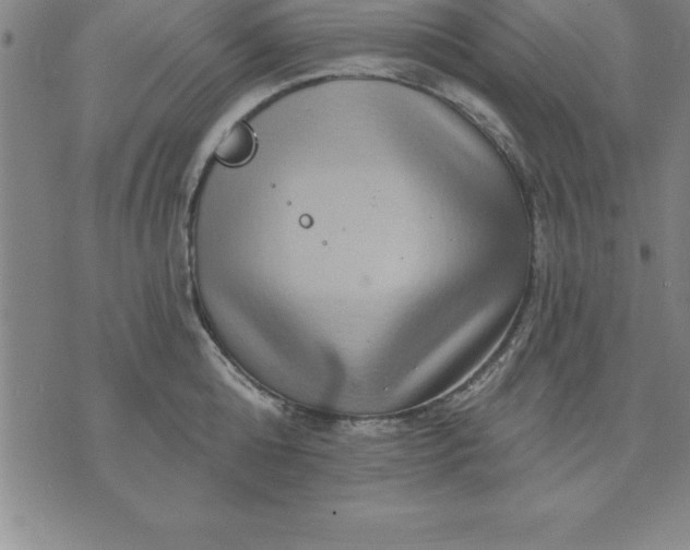 X0000071850808200607141749