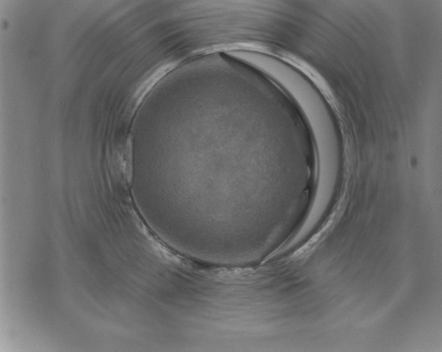 X0000071850809200607141749