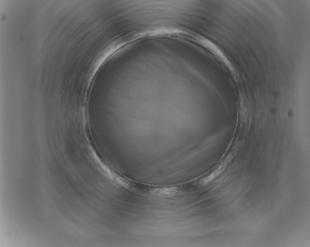 X0000071850810200607141748