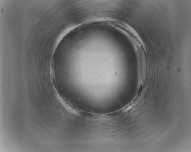 X0000071850811200607141748