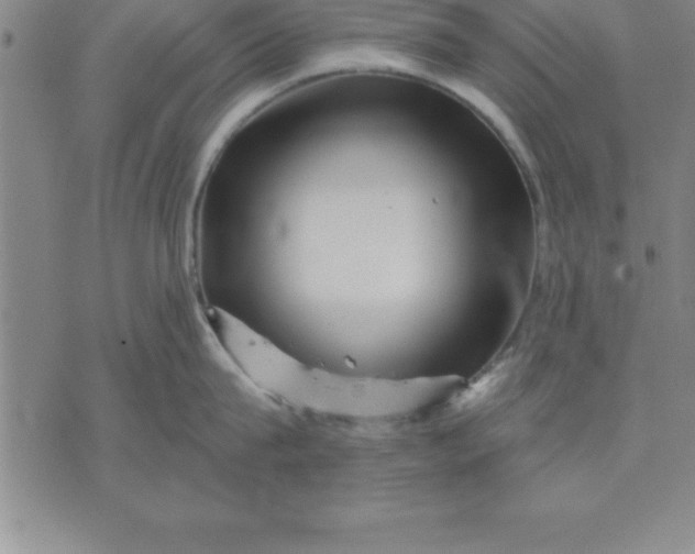 X0000071850815200607141748