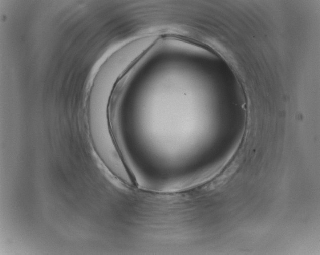 X0000071850816200607141748