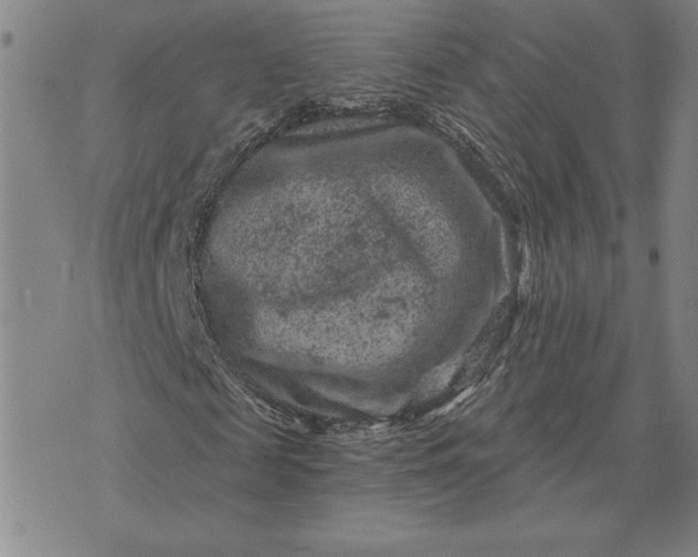 X0000071850817200607141748