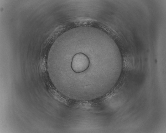 X0000071850820200607141748