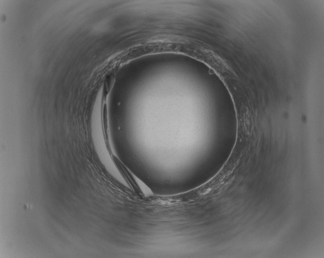 X0000071850821200607141748