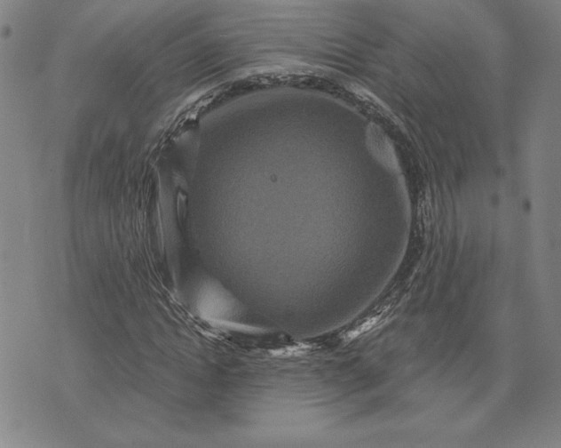 X0000071850822200607141748