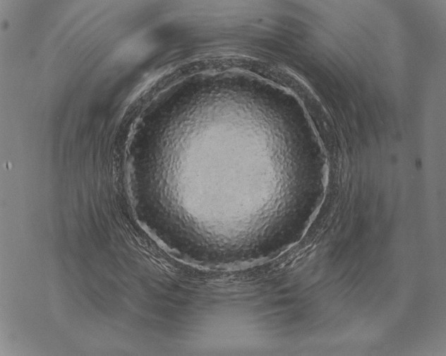 X0000071850823200607141748