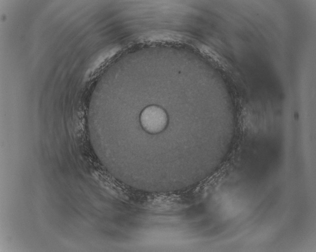 X0000071850824200607141748