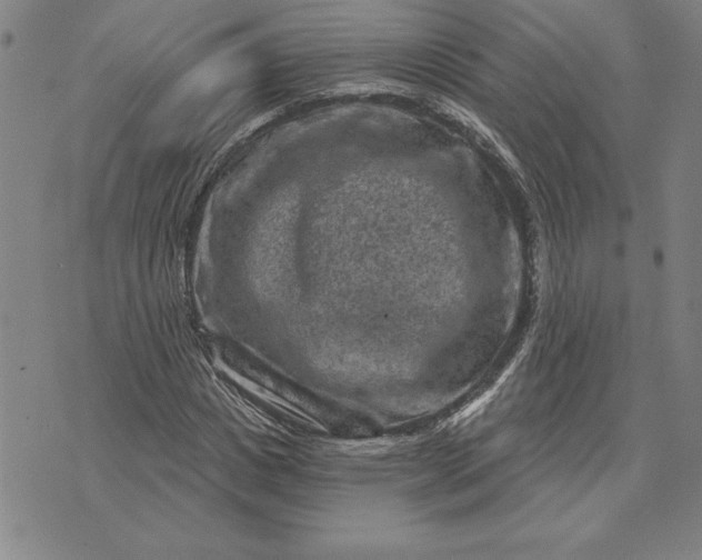 X0000071850825200607141748