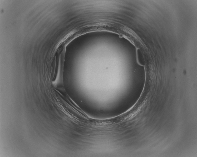 X0000071850826200607141748