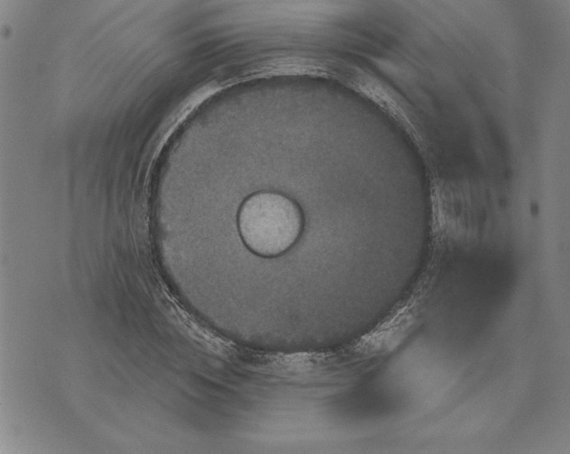 X0000071850828200607141748