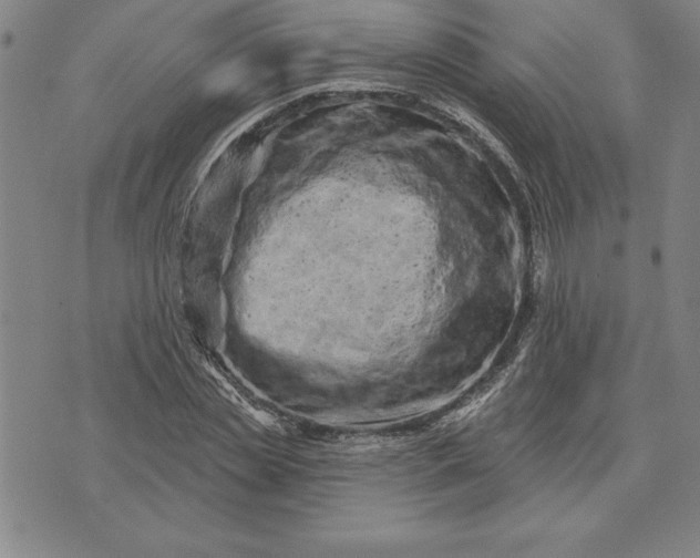 X0000071850829200607141748