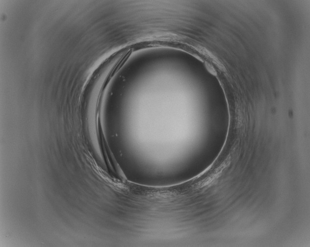 X0000071850830200607141748