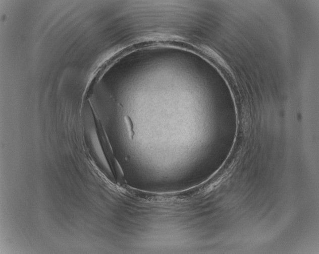 X0000071850831200607141748