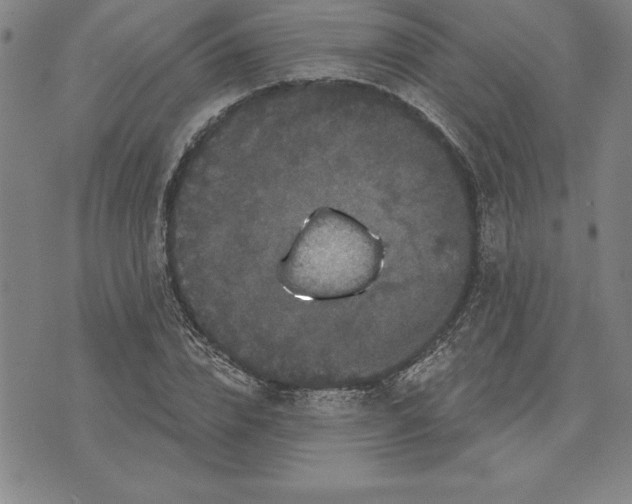 X0000071850832200607141748