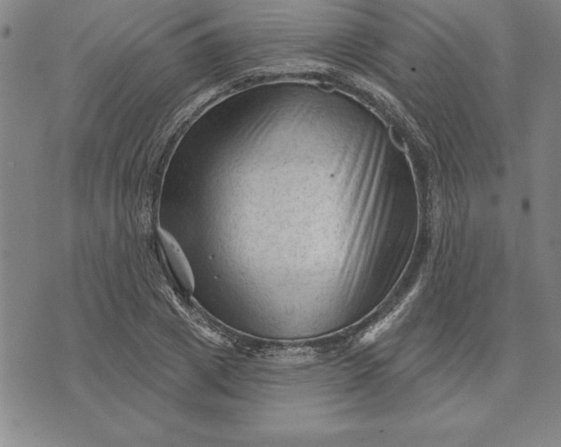 X0000071850833200607141748