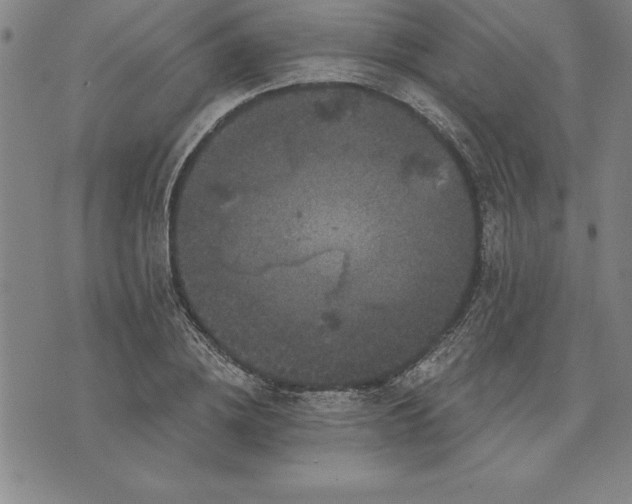 X0000071850836200607141748