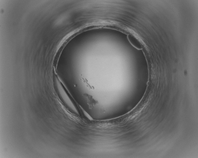 X0000071850837200607141748