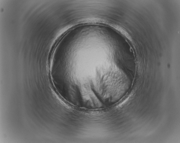 X0000071850839200607141748