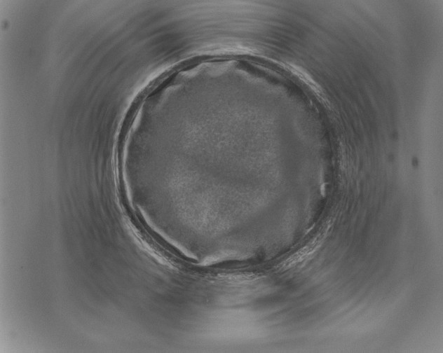 X0000071850840200607141748