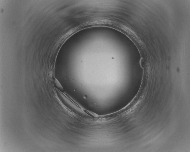 X0000071850841200607141748