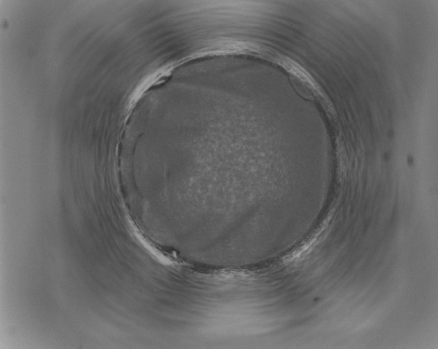 X0000071850842200607141748