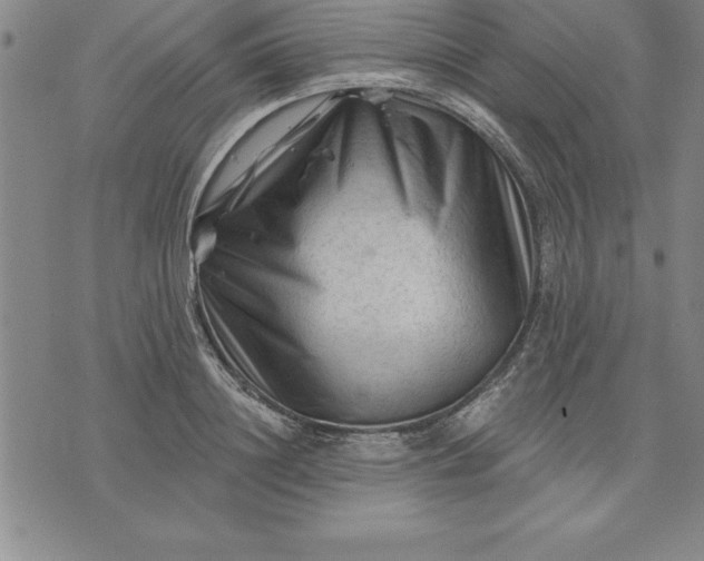 X0000071850844200607141748